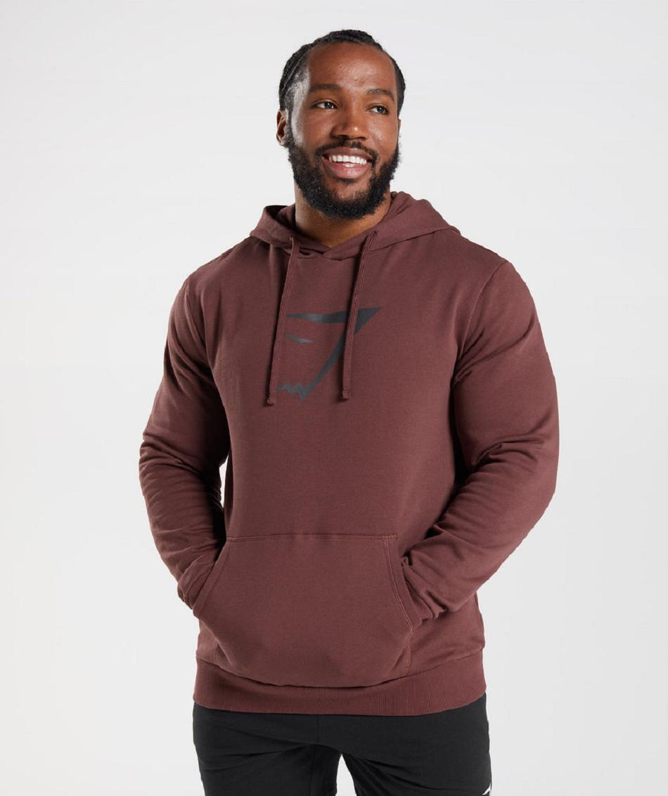 Gymshark Sharkhead Infill Muške Majica S Kapuljačom Roze Smeđe | HR 2732TCE